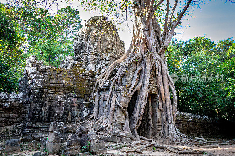 暹粒Ta Som寺庙的树根和寺庙遗址